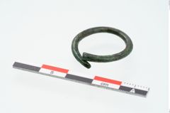 Foto von Bronzering (NHMW-PRAE-025238)
